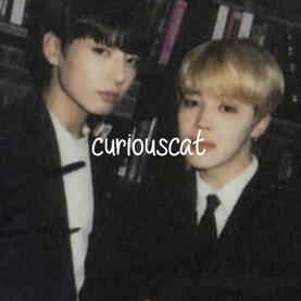 curiouscat